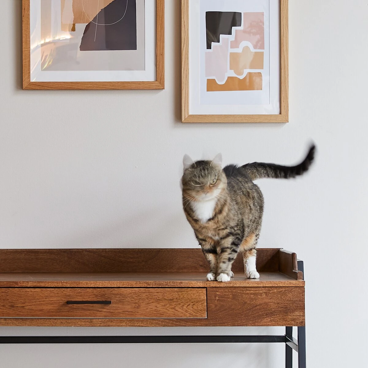 Hedda Desk In Solid Mango Wood And Metal Ref. 4784 11 Hedda Desk In Solid Mango Wood And Metal Ref. 4784 - Image 9